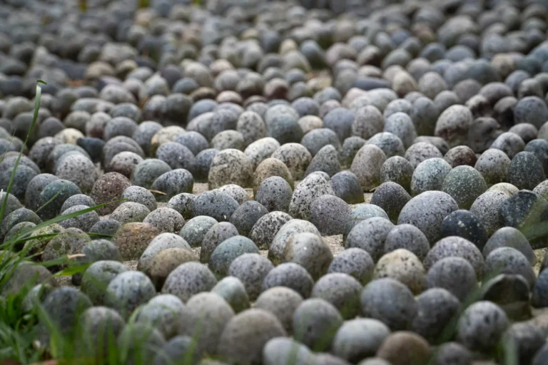 Smooth river stones for barefoot walking