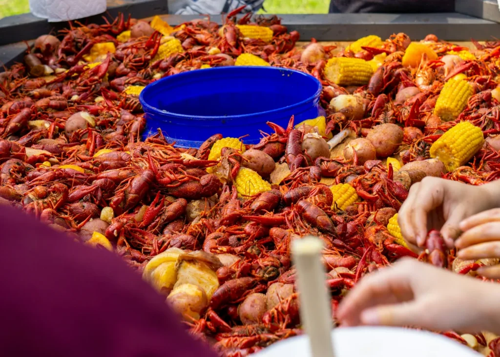 Crawfish poured out for a crowd