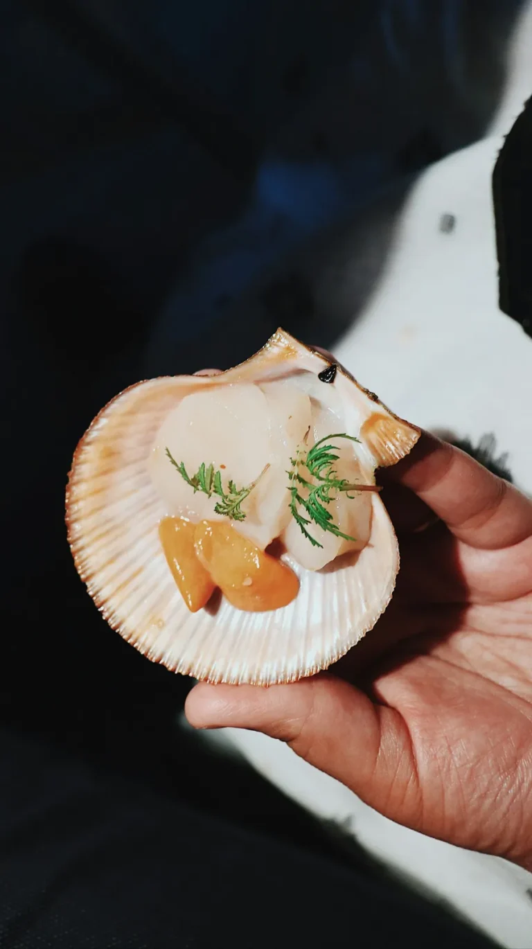 Scallop served in its shell