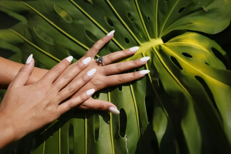 Hands on a monstera leaf