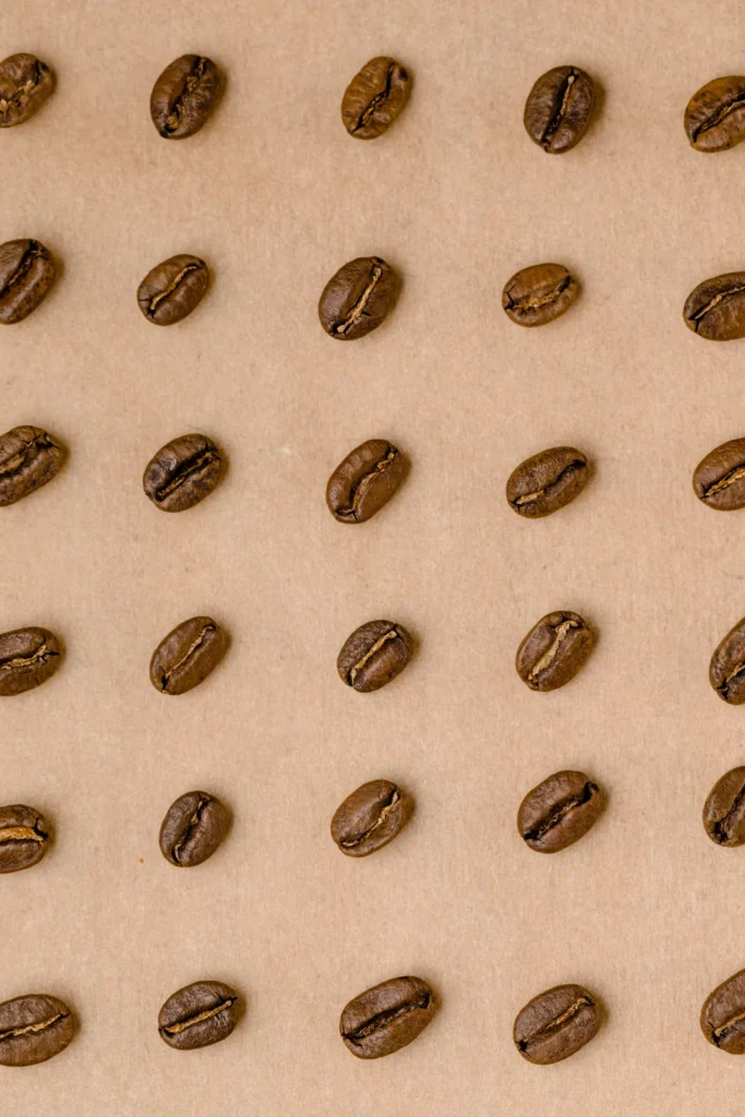 Roasted beans in rows on kraft paper