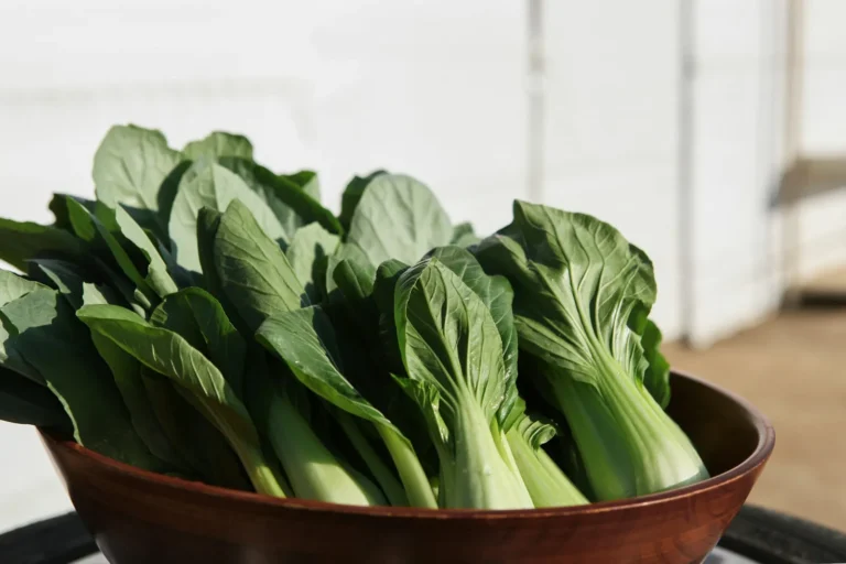 Baby bok choy in a wooden bowl