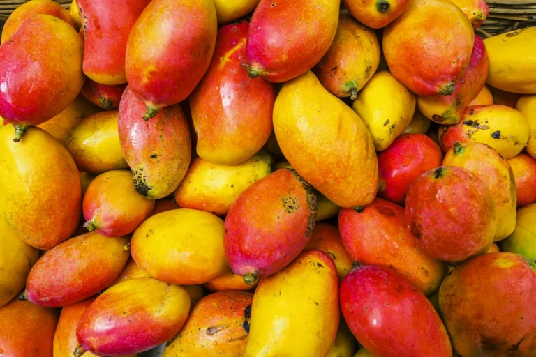 Ripe mangoes