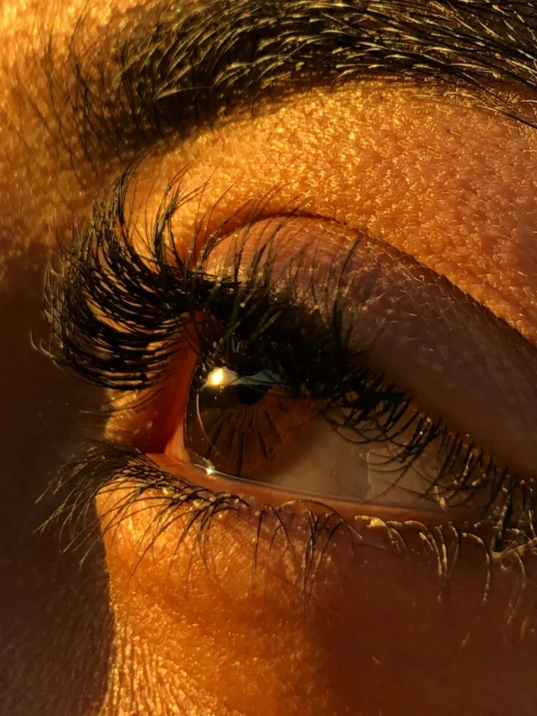 Terra Lash Lounge