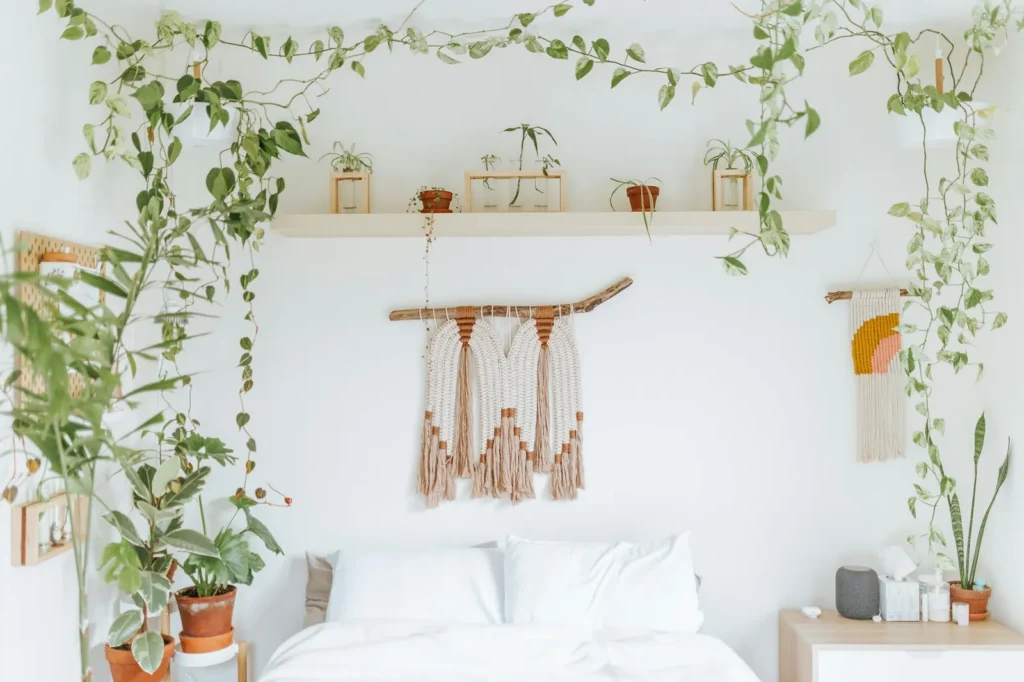 Treatment room with macramé and trailing plants